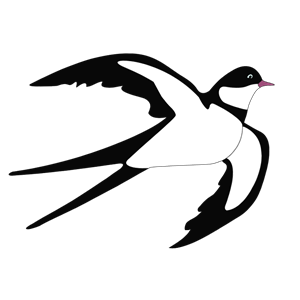 Swallow PNG-67369